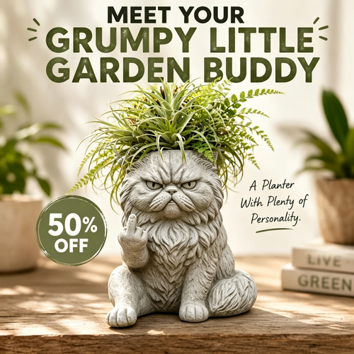Grumpy Cat Flower Pot