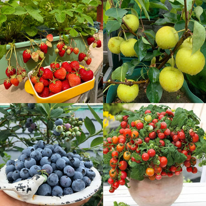 ✨🏆Early Holiday Sale 49% OFF🌱Eco-Friendly Plantable “Timeless” Seed Calendar 2027