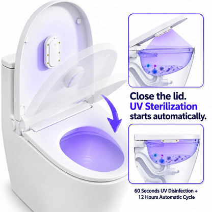 Automatic Toilet Seat Sterilization Device