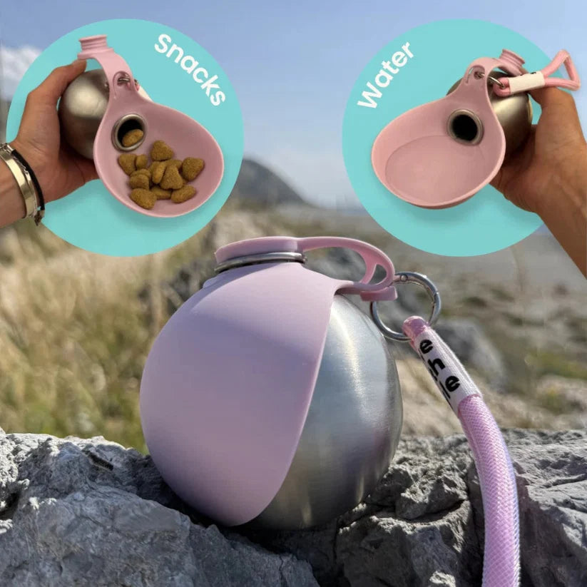 2-in-1 Dog Travel Water Bottle – Leakproof Stainless Steel Bottle with Silicone Bowl