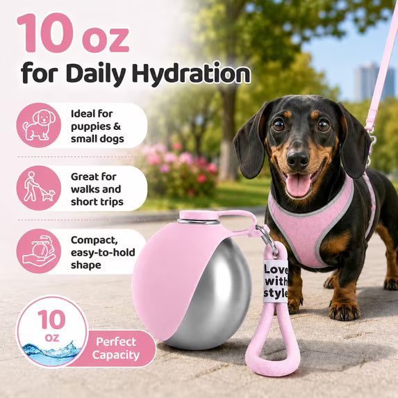 2-in-1 Dog Travel Water Bottle – Leakproof Stainless Steel Bottle with Silicone Bowl