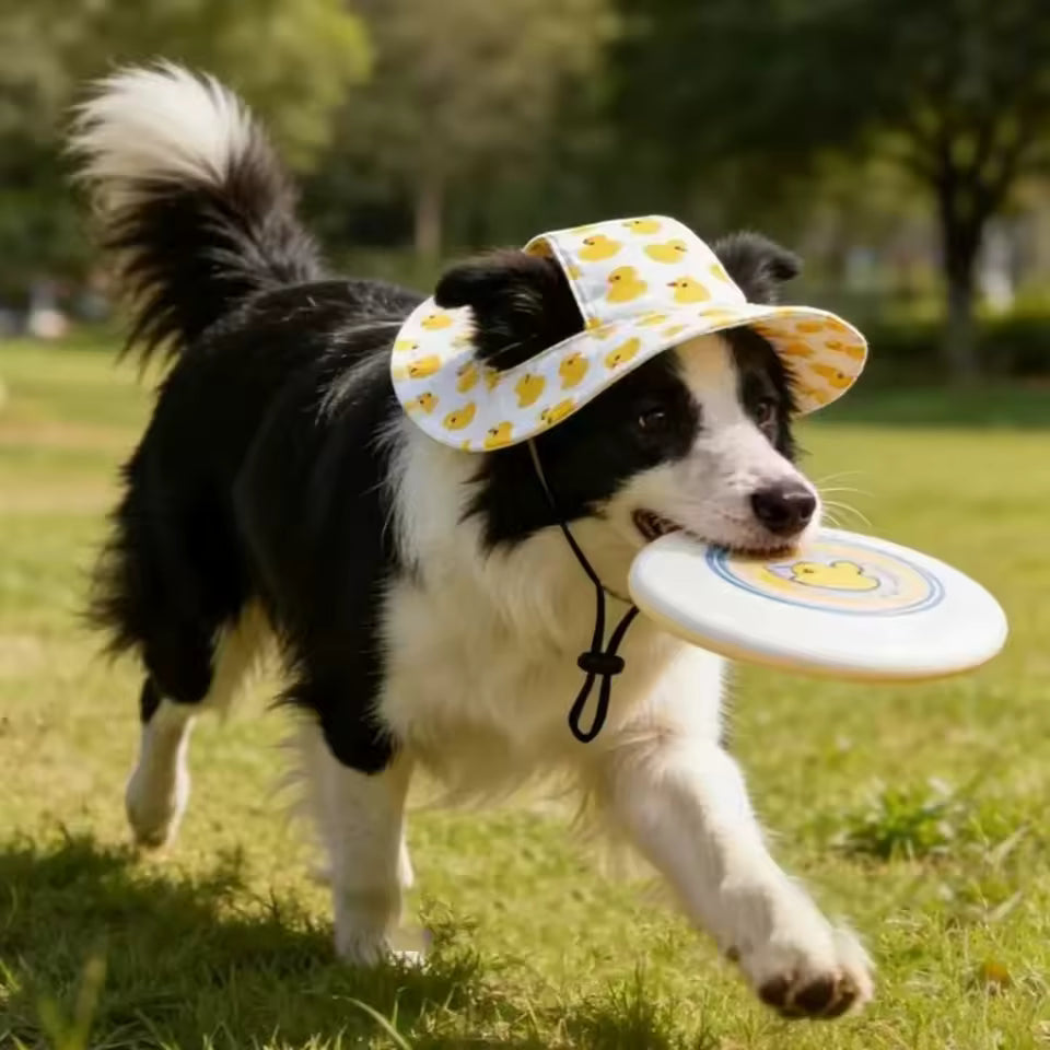 Adjustable Dog Hat Cute Print Cap for Puppies and Small Breeds