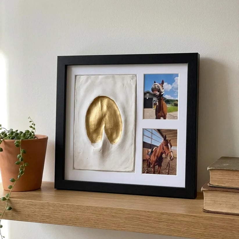 🐾Pet paw prints Keepsake Clay Kit💛Their actual paw prints — made by your own hands.🖼️