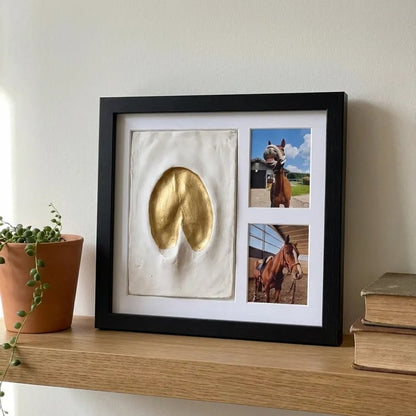 🐾Pet paw prints Keepsake Clay Kit💛Their actual paw prints — made by your own hands.🖼️