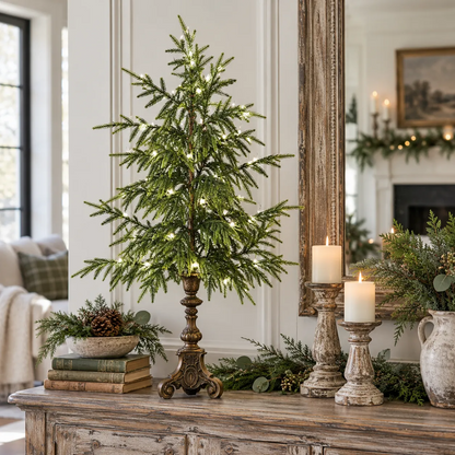 🎄Vintage Lighted Norfolk Pine Trees