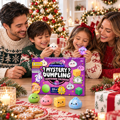 Mystery Dumpling Squishy Advent Calendar, 24 Day Christmas Countdown, Cute Squishy Toys Kids Gift